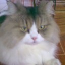 ยูเมมิรุ