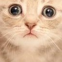 สมาชิกหมายเลข 1486085