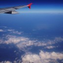 ไฮยาซินธ์