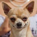 สมาชิกหมายเลข 1873602