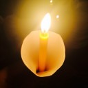 สมาชิกหมายเลข 1975973