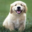 สมาชิกหมายเลข 706193