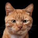 สมาชิกหมายเลข 1924661