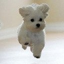 สมาชิกหมายเลข 2760287