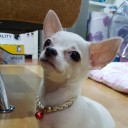 สมาชิกหมายเลข 3400256