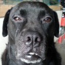 โอลีโรทา