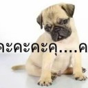 สมาชิกหมายเลข 1486727
