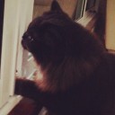 อาจุงมี่