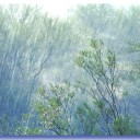 สมาชิกหมายเลข 1078604