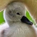 เมฆหมอกและท้องฟ้า