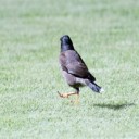 สมาชิกหมายเลข 1918935