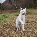 ตัวเล็กแอ๊บแมน