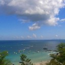 Teacher bear in love