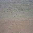 สมาชิกหมายเลข 1233500