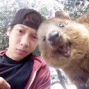 สมาชิกหมายเลข 2317036