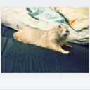 สมาชิกหมายเลข 1397809