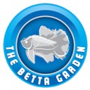 สมาชิกหมายเลข 2709468