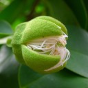 สมาชิกหมายเลข 885375