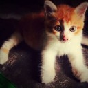 สมาชิกหมายเลข 1485783