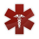 แมวน้อยหลงทางในเมืองกรุง