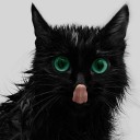 a girl who chased the moon