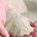 สมาชิกหมายเลข 1741798