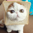 สมาชิกหมายเลข 3128604