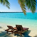 สมาชิกหมายเลข 3128977