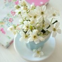 สมาชิกหมายเลข 1111922