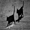 TheBigGirlInABigWorld