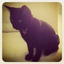 นางสาวกระทง