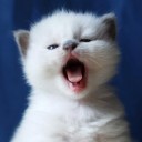 Minimal but Gorgeous