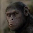 สมาชิกหมายเลข 1441566