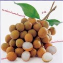 สมาชิกหมายเลข 3595961