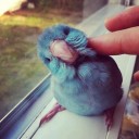 สมาชิกหมายเลข 707600