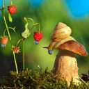 สมาชิกหมายเลข 1488821