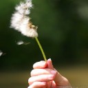 สมาชิกหมายเลข 1824868