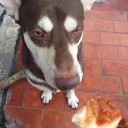 สมาชิกหมายเลข 3600609