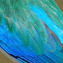 ไม้หอม2829