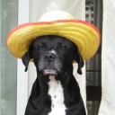 สมาชิกหมายเลข 707736