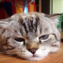 สมาชิกหมายเลข 2203220