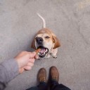 คนนี้มาแรง สัญชาตญาณบอก