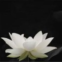 กัณณมุณฑะ