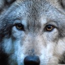 สมาชิกหมายเลข 1080998