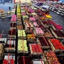 สมาชิกหมายเลข 1867275