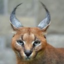 สมาชิกหมายเลข 3601315