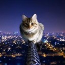 สมาชิกหมายเลข 1920182