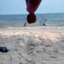 สมาชิกหมายเลข 1921569