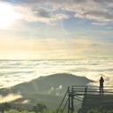 สมาชิกหมายเลข 2319101