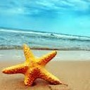 สมาชิกหมายเลข 942222